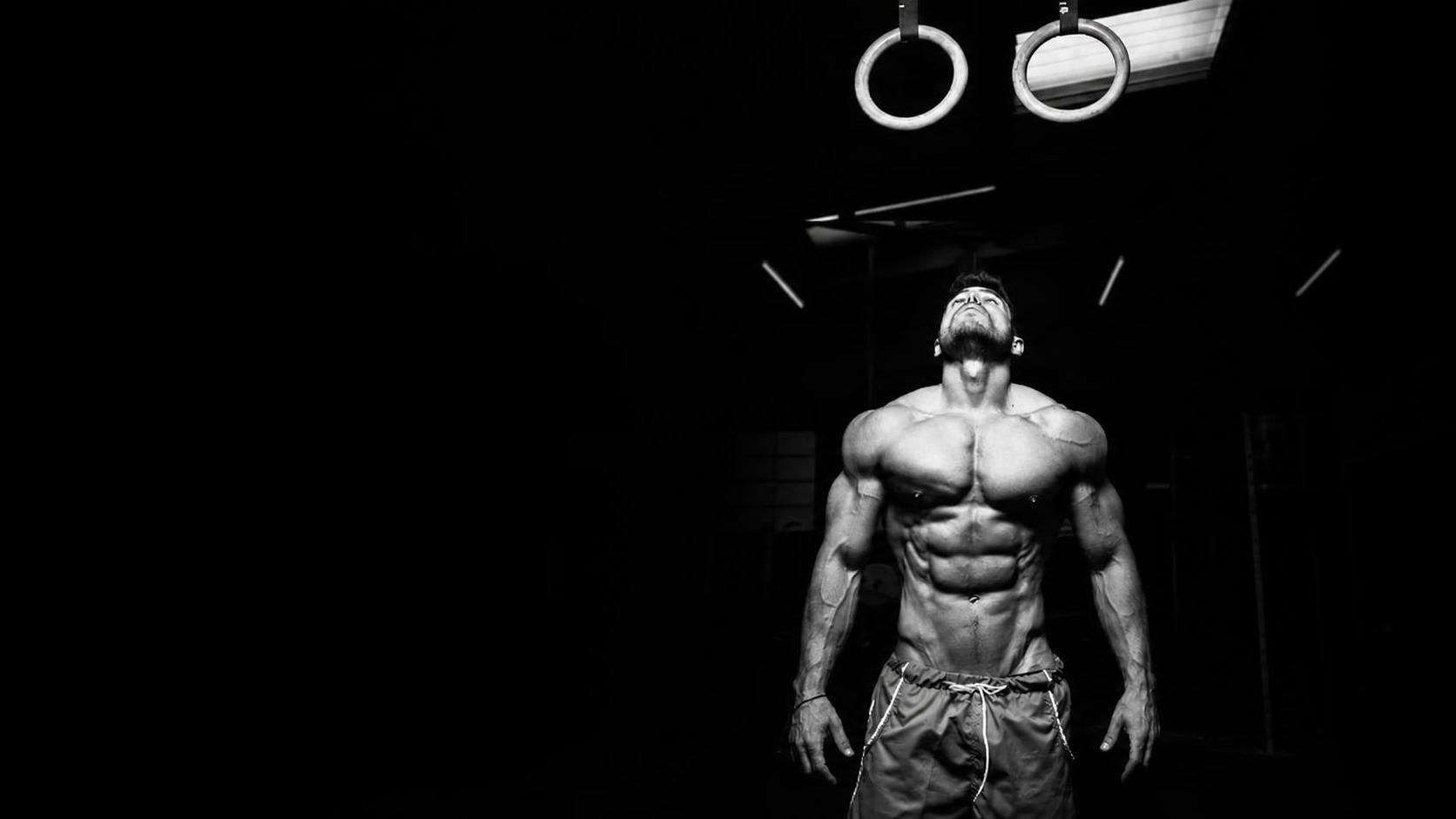 Muscle Builders